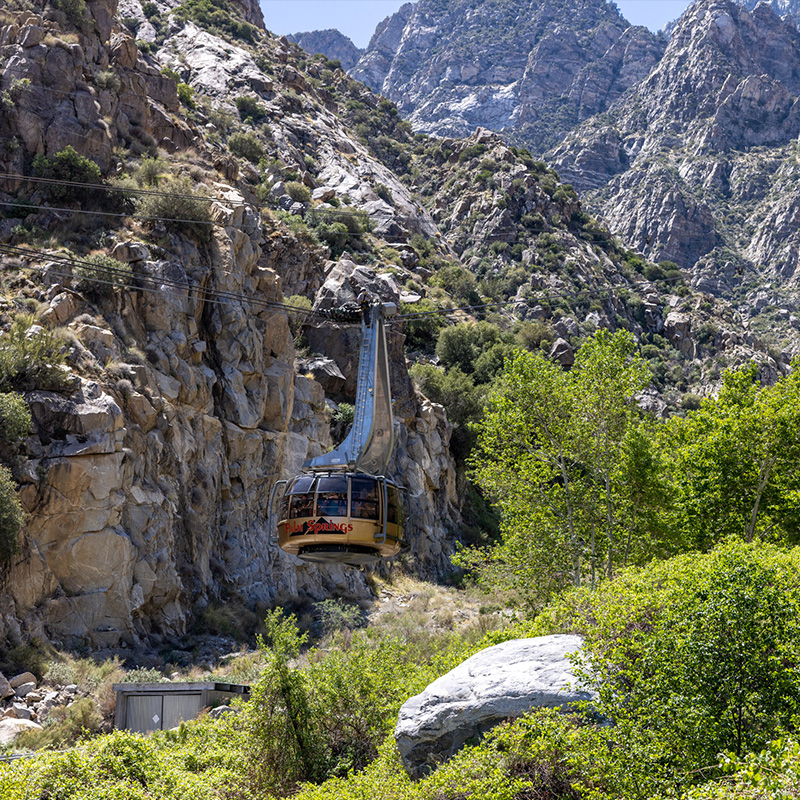 an elevated tram travels across the mountains in Palm Springs