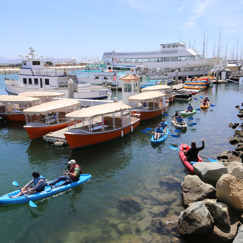 people in six kayaks surrounding a dock in Santa Barbara
