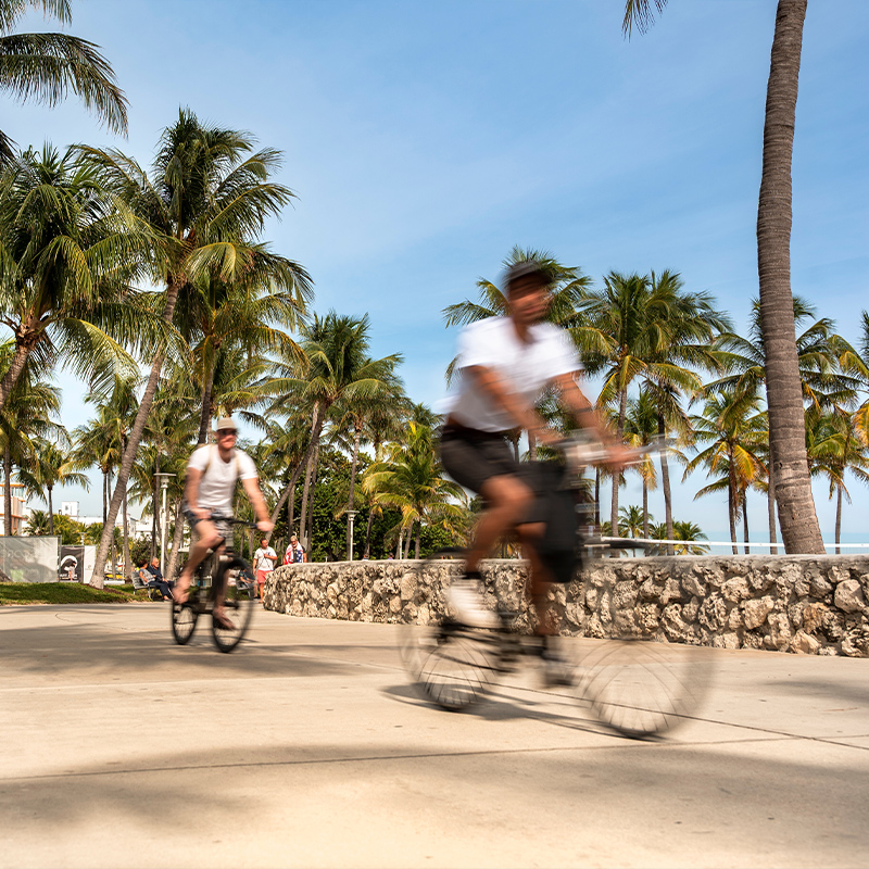 Motion-blurred cyclists ride along a sunny Miami waterfront path, with palm trees and a low stone wall creating a relaxed, tropical atmosphere.