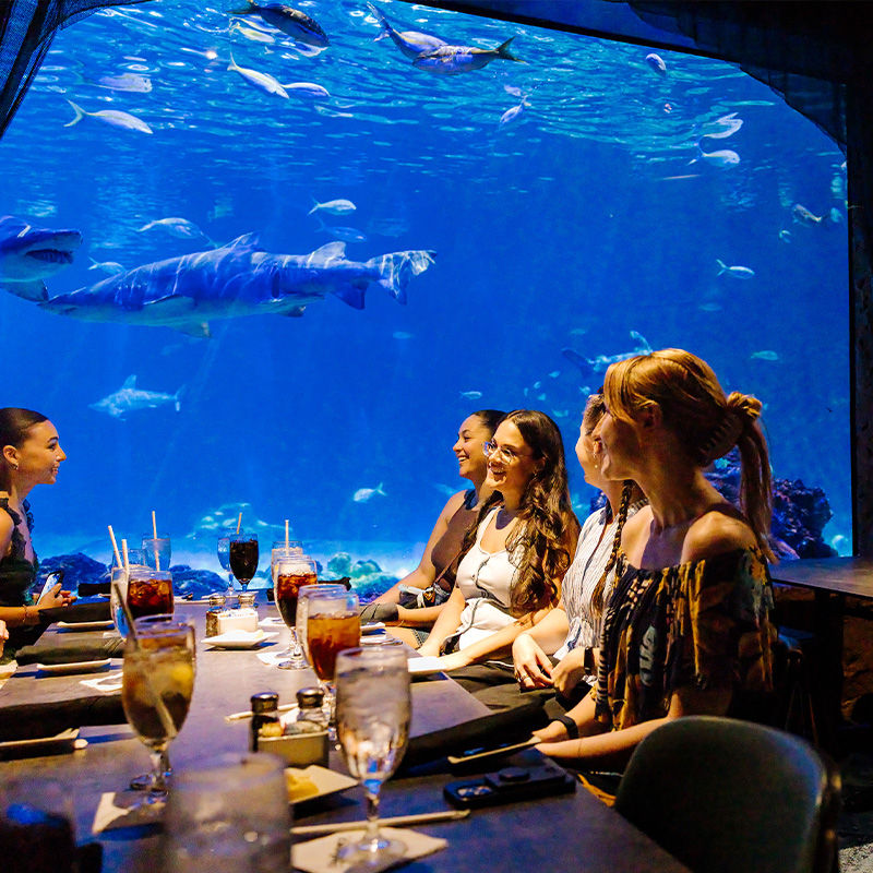 event venue space with a huge window showcasing a big aquarium