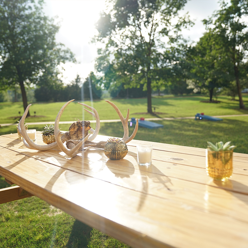 Sunlit wooden picnic table with antler centerpieces, fruit, and drinks overlooks a leafy park with trees and a grassy lawn